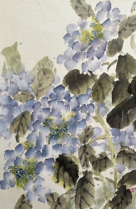 HYDRANGEAS